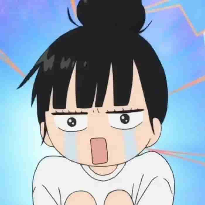 11月09日免费节点大合集 | 2025年V2ray/SSR/Clash最新高速订阅推荐